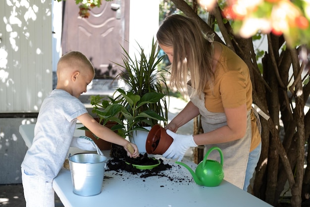 Famille planter des fleurs ensemble printemps soins des plantes d'intérieur rempoter les plantes d'intérieur famille heureuse maman et