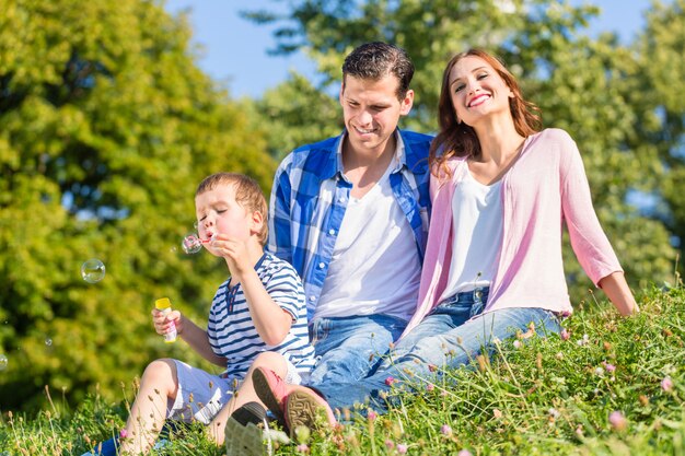 Famille, séance, sur, pré, jouer, à, bulles savon