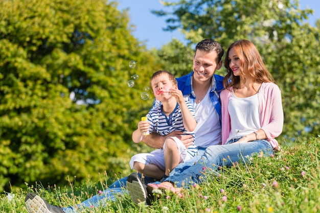 Famille, séance, sur, pré, jouer, à, bulles savon