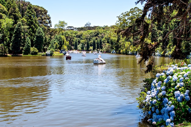 Familles équitation un pédalo cygne sur un magnifique lac, Lago Negro, Gramado-RS, Brésil, Tourisme dans la Serra Gaucha