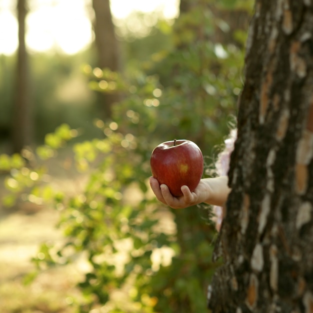 Fantaisie fille tenant une pomme rouge dans la forêt