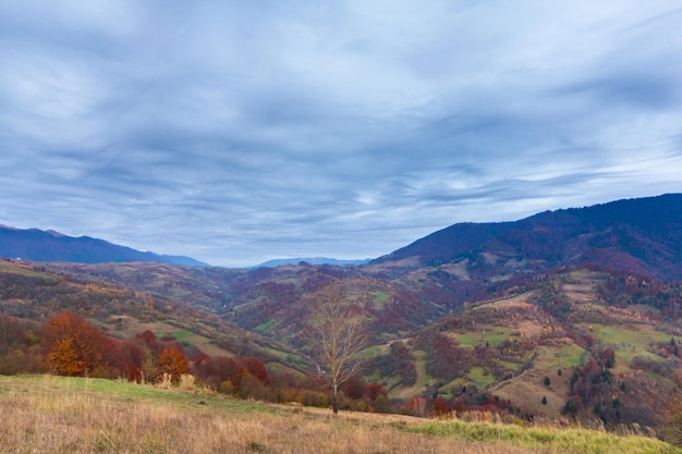 Fantastique paysage de montagne coloré avec des nuages Ukraine Carpates