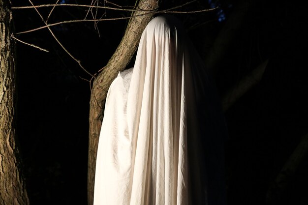 Fantôme la nuit à l'extérieur. Idée de déguisement d'Halloween. Concept de film d'horreur. Des choses effrayantes dans la forêt. Fêtes d'automne de la Toussaint.