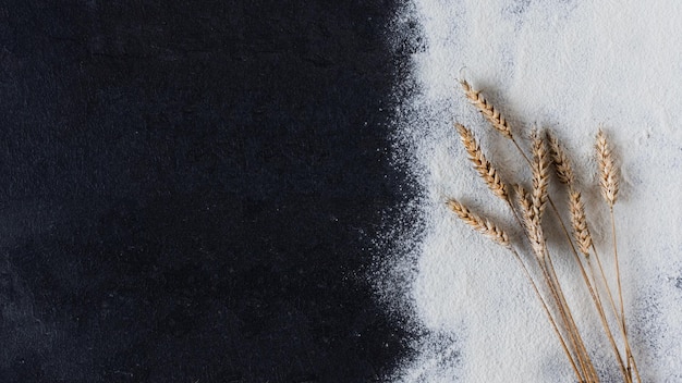 Farine de blé tamisée sur une surface noire avec vue de dessus de blé