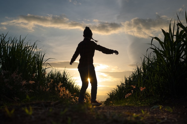 Farmer woman silhouette debout dans la plantation de canne à sucre en arrière-plan le soir du coucher du soleil