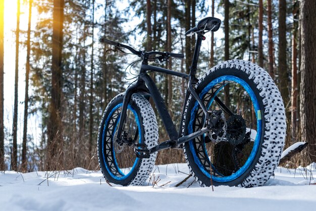 Fatbike dans la forêt d'hiver par une journée ensoleillée