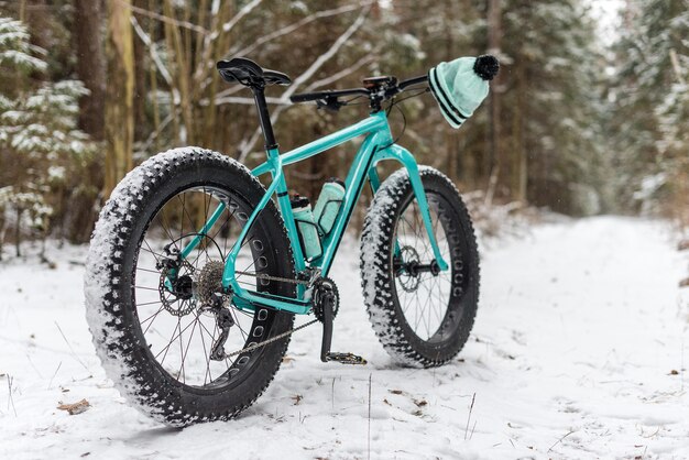 Un fatbike debout dans les bois en hiver