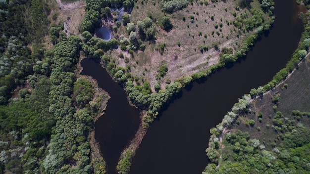 Faune au printemps prise de vue depuis un drone