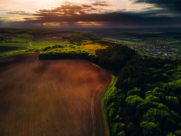 La faune d'en haut. Coucher de soleil