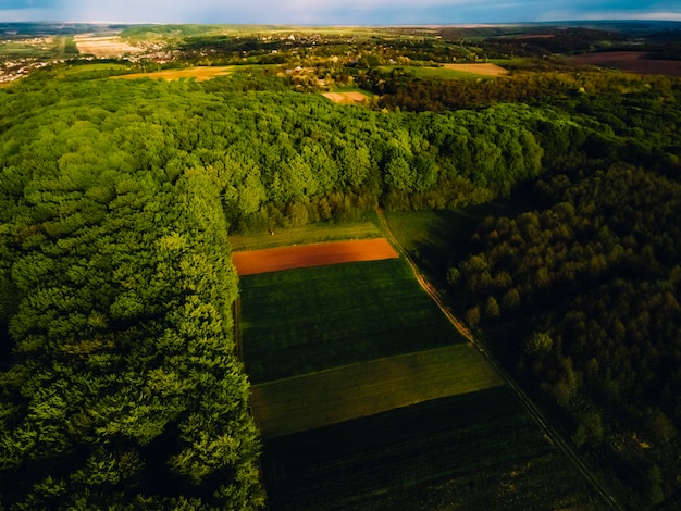 La faune d'en haut. Coucher de soleil