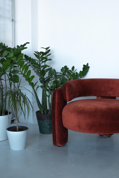 Fauteuil de mode et plante d'intérieur en pots dans un intérieur clair