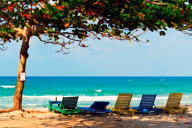 Photo des fauteuils sur la plage