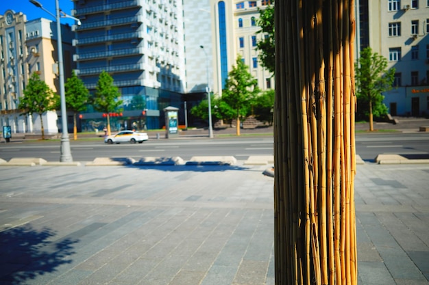 Faux bambou aligné à droite sur fond de ville