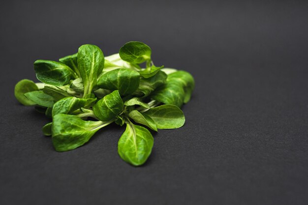 Feldsalat gros plan sur fond noir, nourriture saine et saine. Soins de santé