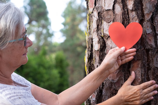 Une femme adulte dans les bois met une forme de cœur sur le tronc pour nous dire que chaque arbre a un cœur Concept du jour de la Terre Ensemble sauvez la planète de la déforestation