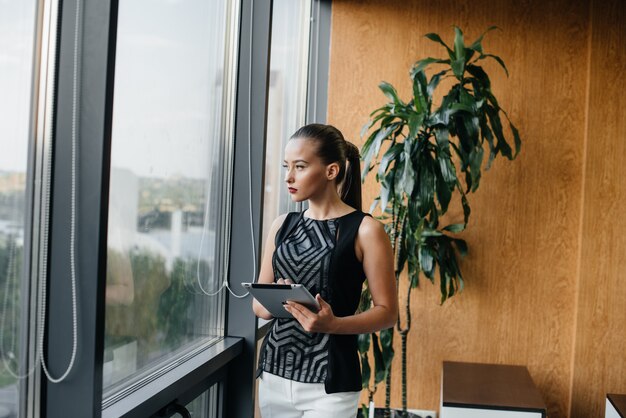 Femme d'affaires est debout dans le bureau près de la fenêtre et étudie les documents. Affaires, finance, avocat