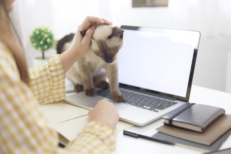 Femme affaires, travailler maison, à, chat