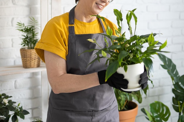 Femme d'âge moyen dans un tablier vêtements prend soin de la plante en pot en pot Jardinage et floriculture maison Maison avec plantes vertes et concept de fleuriste botanique cottagecore