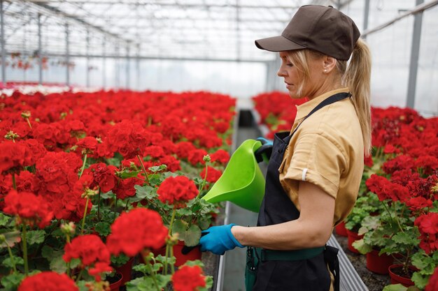 Une femme d'âge moyen se tient au milieu d'une grande serre et verse des plantes en pot