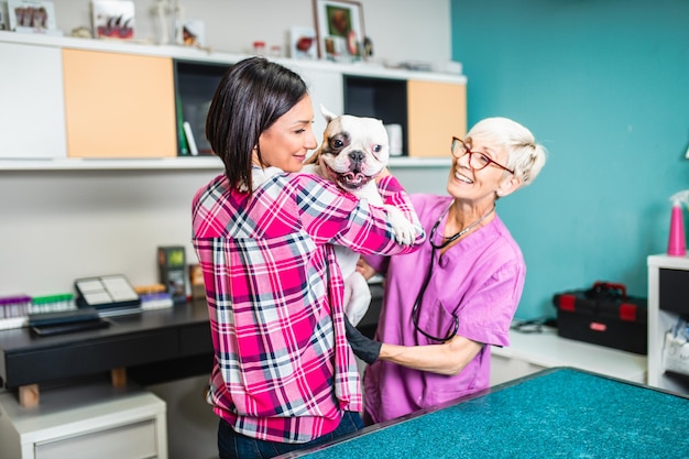 Femme d'âge moyen avec son bouledogue français chez le vétérinaire.