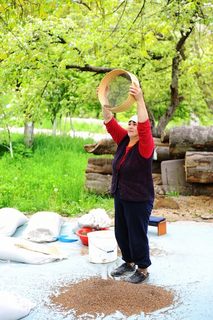 Femme d&#39;âge moyen travaillant avec le sarrasin