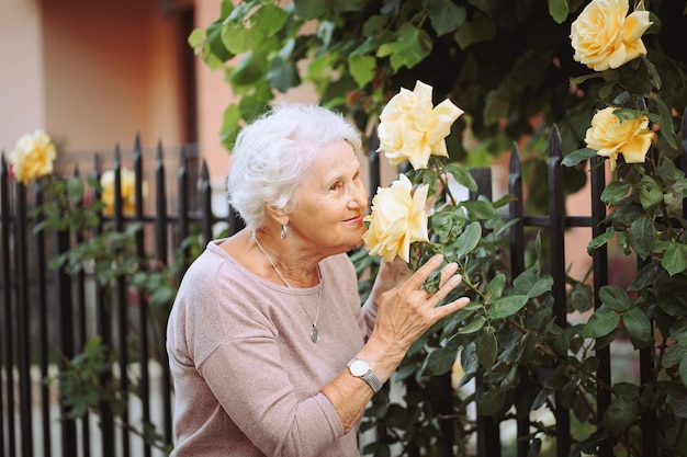 Femme agée admirant de beaux buissons avec les roses jaunes