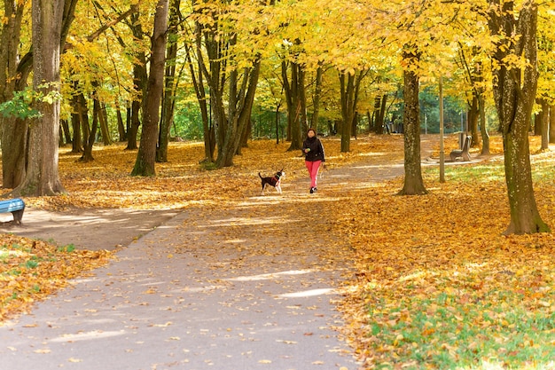 Femme âgée avec chien en promenade