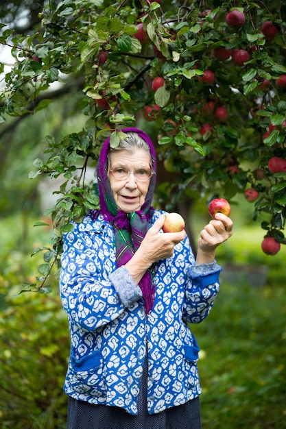 Une femme âgée dans un verger de pommiers