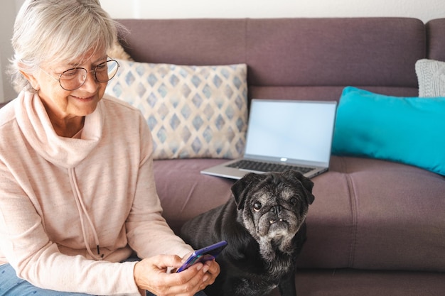 Femme âgée détendue et vieux chien carlin drôle à la maison assis sur un canapé tandis que dame utilisant un téléphone intelligent