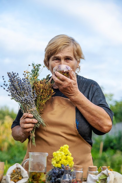 Une femme âgée fait du thé à base de plantes Focus sélectif