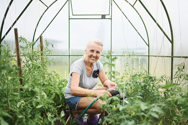 Femme âgée mature, arrosage des plantes avec un tuyau d'eau. Concept d'agriculture, de jardinage, d'agriculture, de vieillesse et de personnes