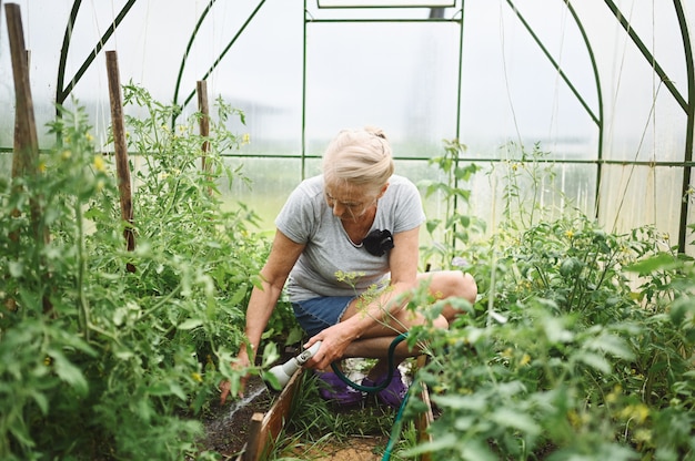 Photo femme âgée mature, arrosage des plantes avec un tuyau d'eau.