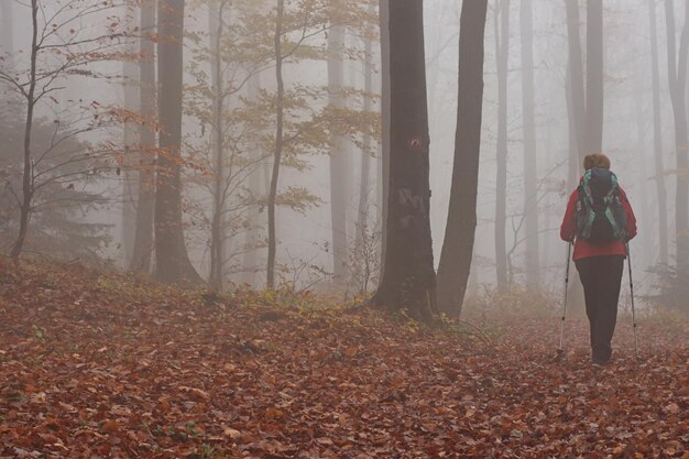 Photo une femme âgée en randonnée dans un paysage d'automne