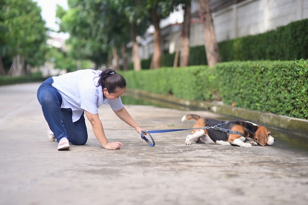 Une femme âgée tombe en promenant le chien