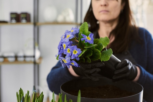 Une femme âgée transplante des pots de fleurs à l'intérieur