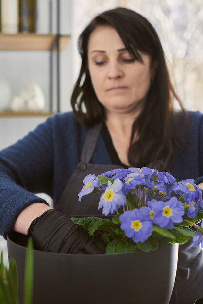 Une femme âgée transplante des pots de fleurs à l'intérieur
