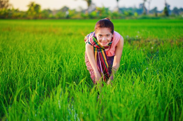 femme d&#39;agriculteur travaillant dans la rizière