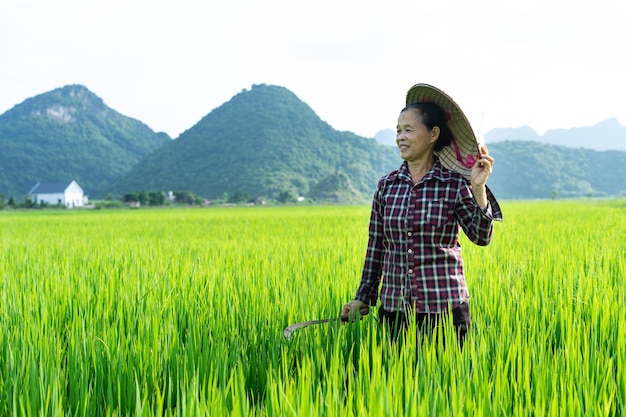 Femme agricultrice dans la rizière