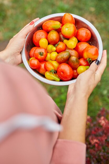 Femme agricultrice tenant une boîte pleine de tomates crues fraîches dans les mains