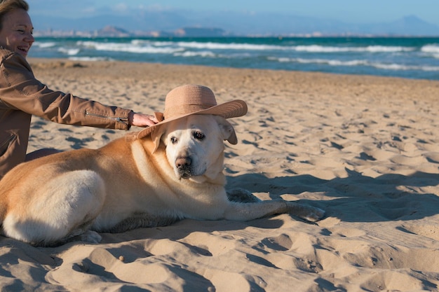 La femme aime mettre un chapeau sur son chien à la plage