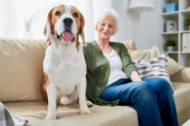 Femme aînée, et, elle, chien, chez soi