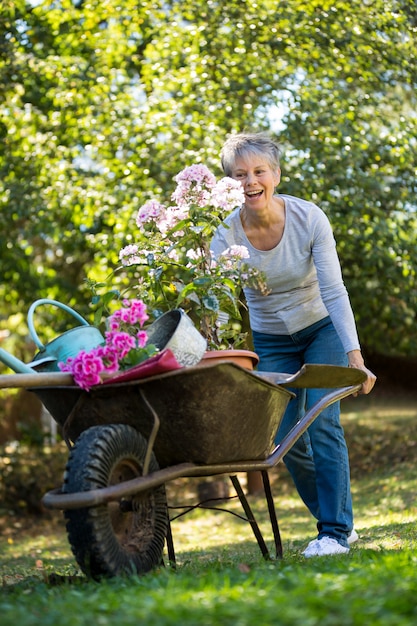 Femme aînée, pousser, brouette, dans, jardin