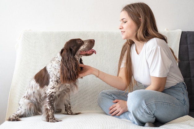 Femme animal épagneul russe chien chocolat merle yeux de différentes couleurs