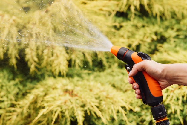 Femme arrosant des plantes dans le jardin en été