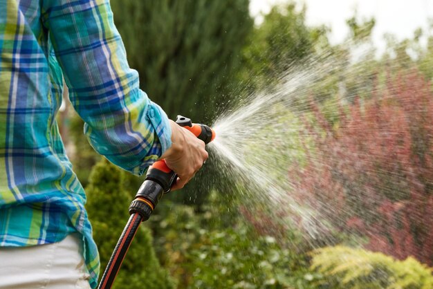 Femme arrosant des plantes dans le jardin en été