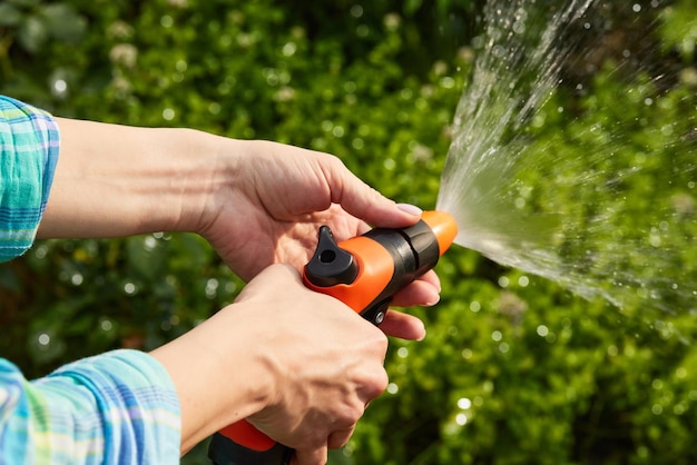 Femme arrosant des plantes dans le jardin en été