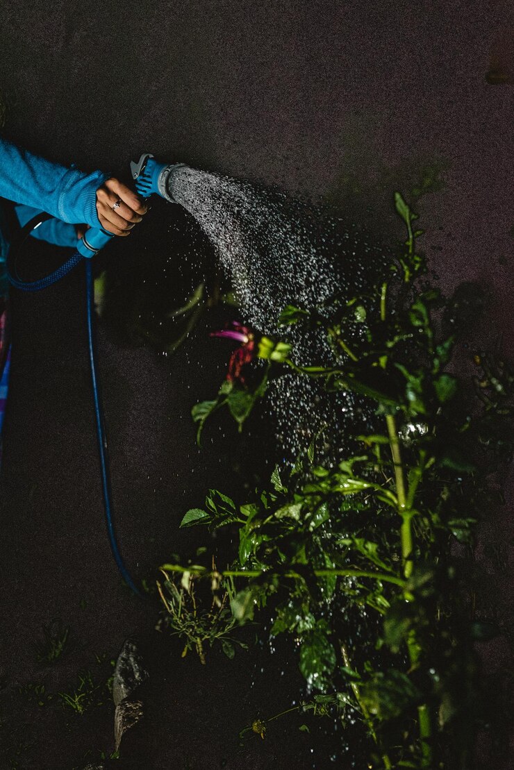 Photo une femme arrosant des plantes la nuit.