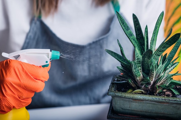 Femme arrosant des plantes en pot à la maison Concept de jardin intérieur