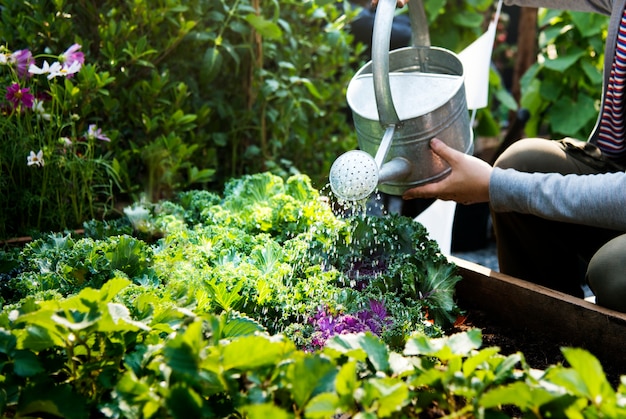 Photo femme arrosant des plantes