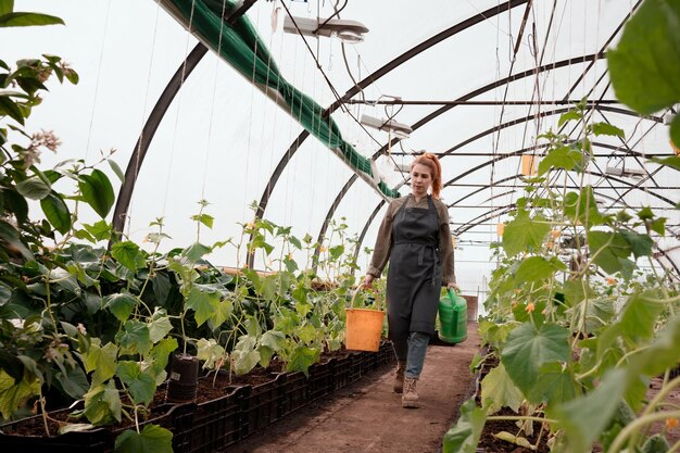 Femme arrosant des plants de concombre dans une grande serre en été